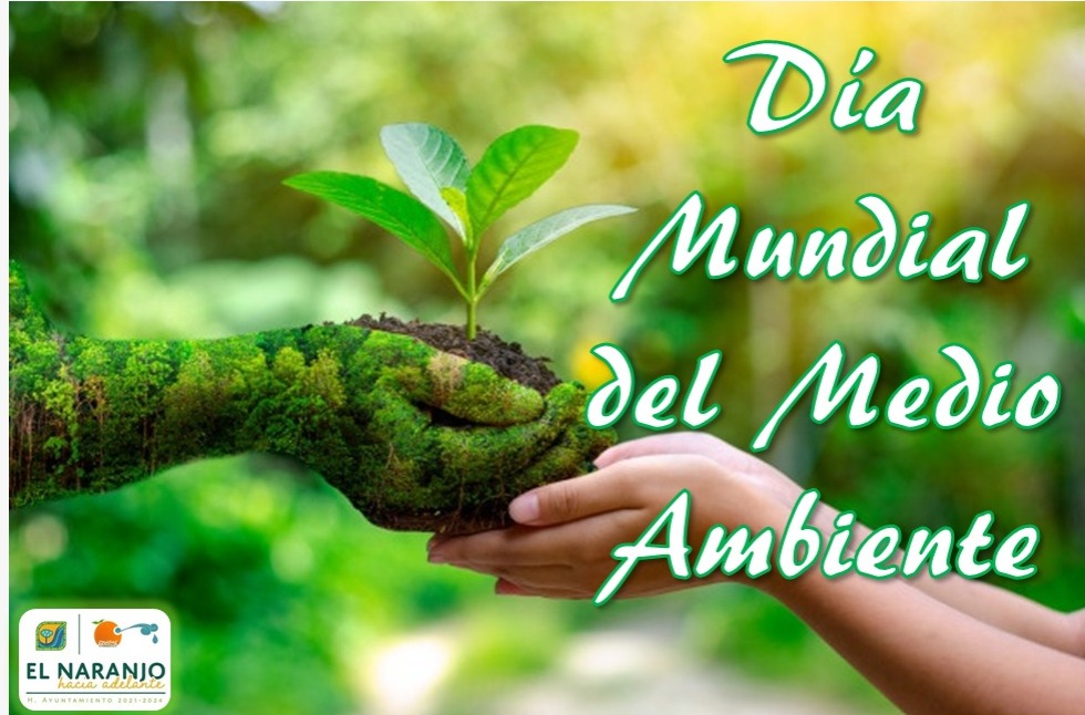 DIA MUNDIAL DEL MEDIO AMBIENTE 