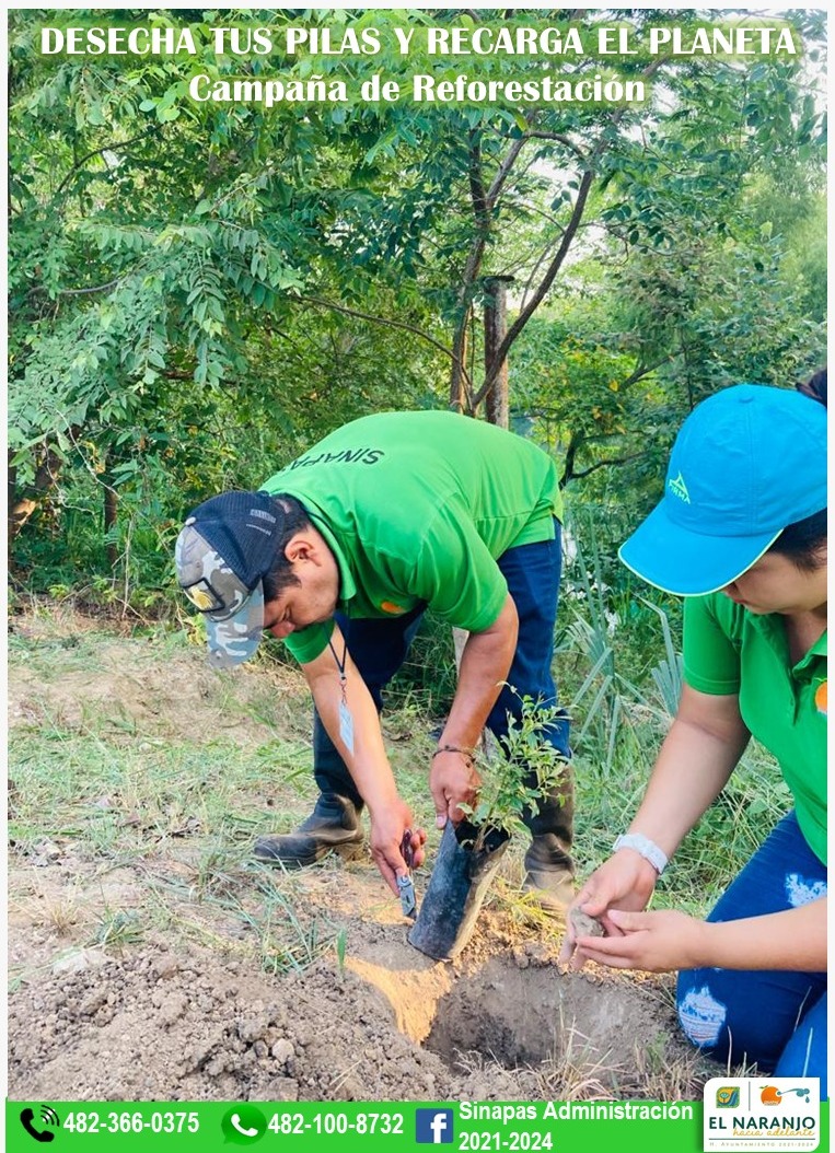 WhatsApp Image 2022 07 22 at 1.5arbol