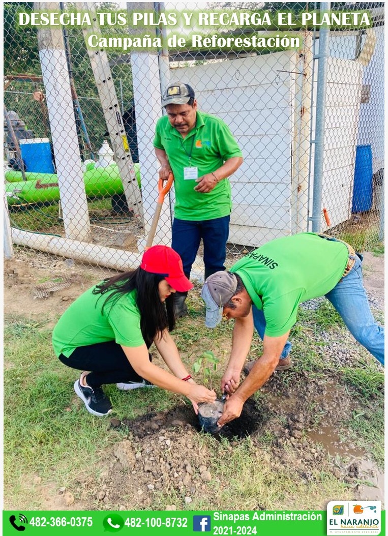 WhatsApp Image 2022 07 22 at 1arbol