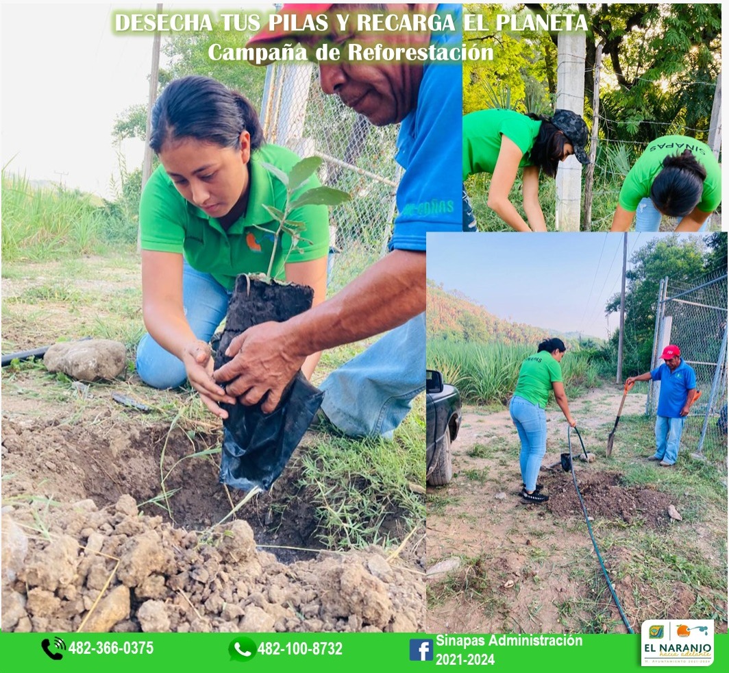 WhatsApp Image 2022 07 22 at arbol5