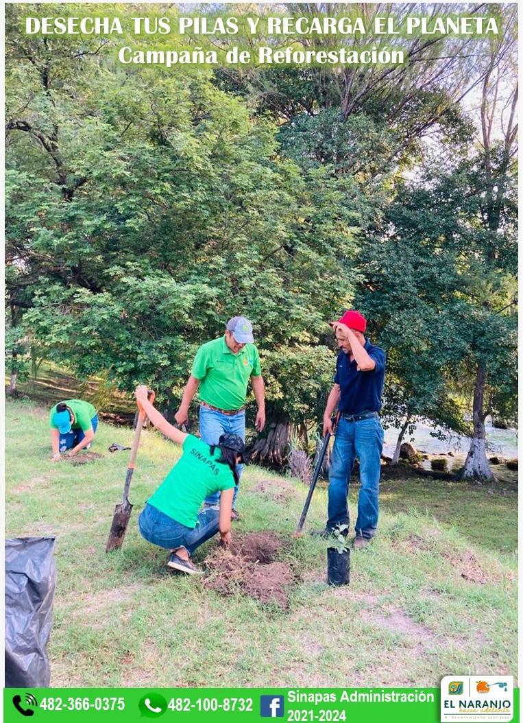 WhatsApp Image 2022 07 22 at arbol 4